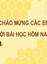 Bài giảng Toán Lớp 7 (Sách Kết nối tri thức) - Luyện tập chung (Trang 3) - Năm học 2022-2023